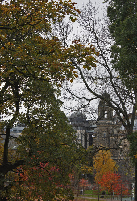 Autumnal Edinburgh_2356