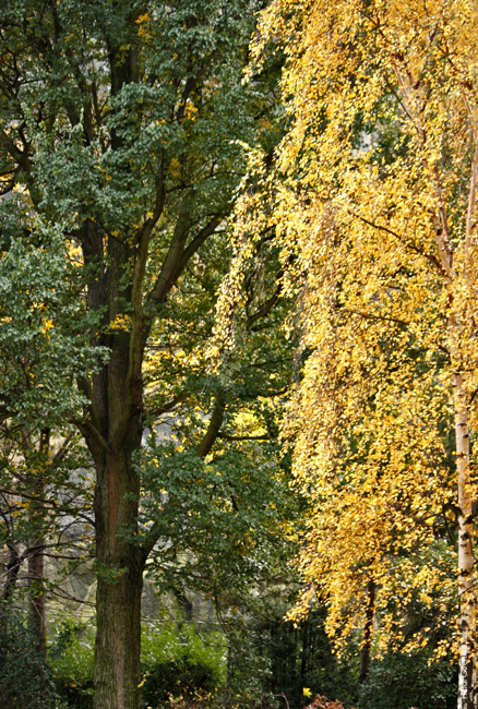 Autumnal Edinburgh_2379