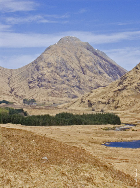 Glencoe 1754