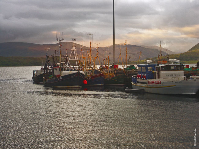 WCoast Ullapool Harbour 1002