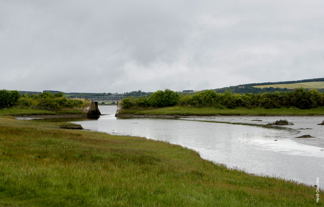 Merkinch Nature Reserve 1989