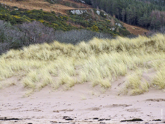 Gairloch Beach 1321a