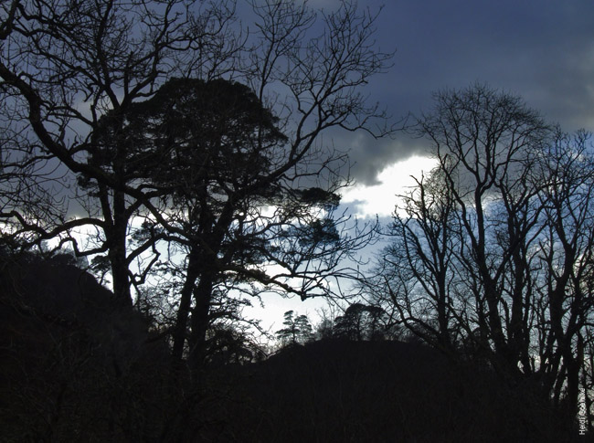 Gairloch Flowerdale Glen Silhouette 1293