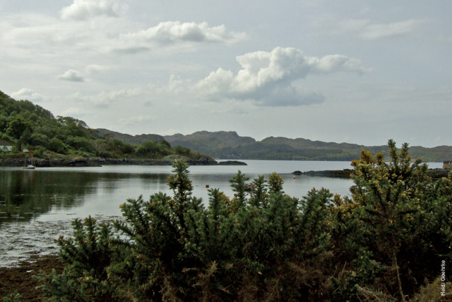 Gairloch Harbour 1004