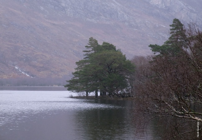 Loch Luichart 1245