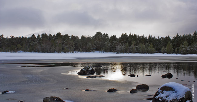 Loch Morlich - Sun Setting over the Frozen Loch 1699a