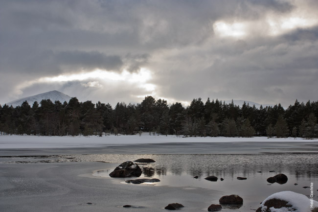 Loch Morlich - Sun Setting over the Frozen Loch 1700