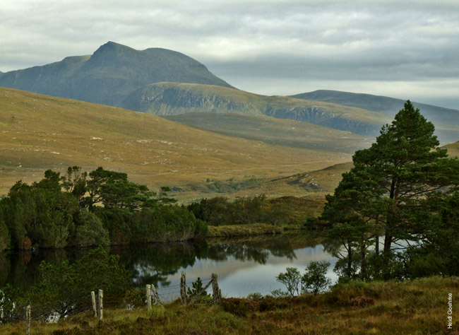 West Coast Loch Cul Dromannan 0461xa