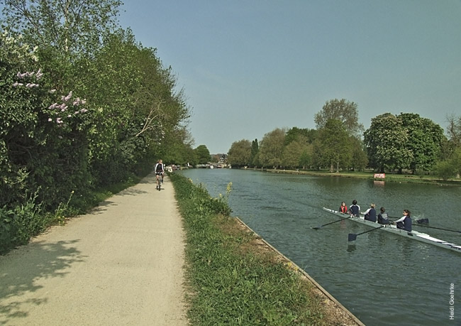 Rowing on the Thames 0570