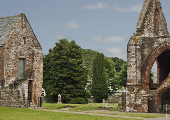 Fortrose Abbey 0678a